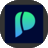 Pincel logo